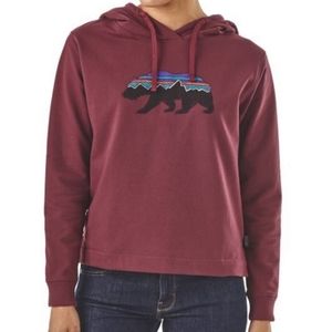 Patagonia fitz roy bear hoodie xs plum